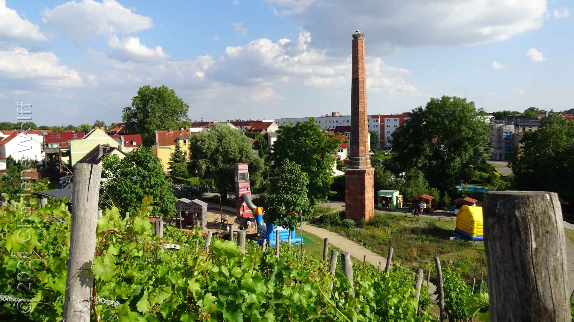 Blick vom Weinberg